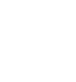 Intentional Movement * Alexander Technique   		* Reiki * Sound Meditations * Integrative Voice Work * Firewalking